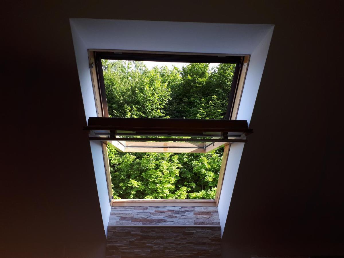 Apartment Erika Fužine エクステリア 写真
