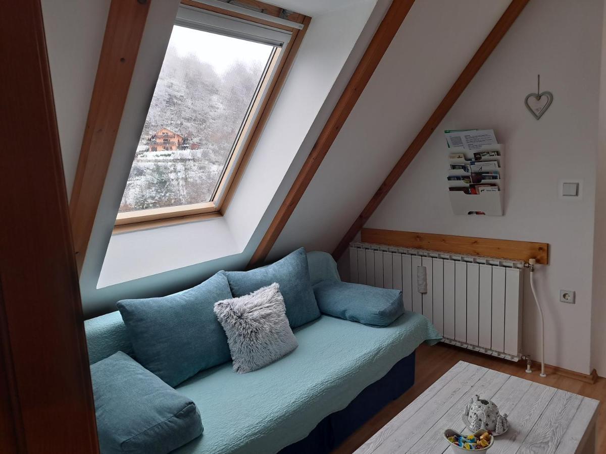 Apartment Erika Fužine エクステリア 写真