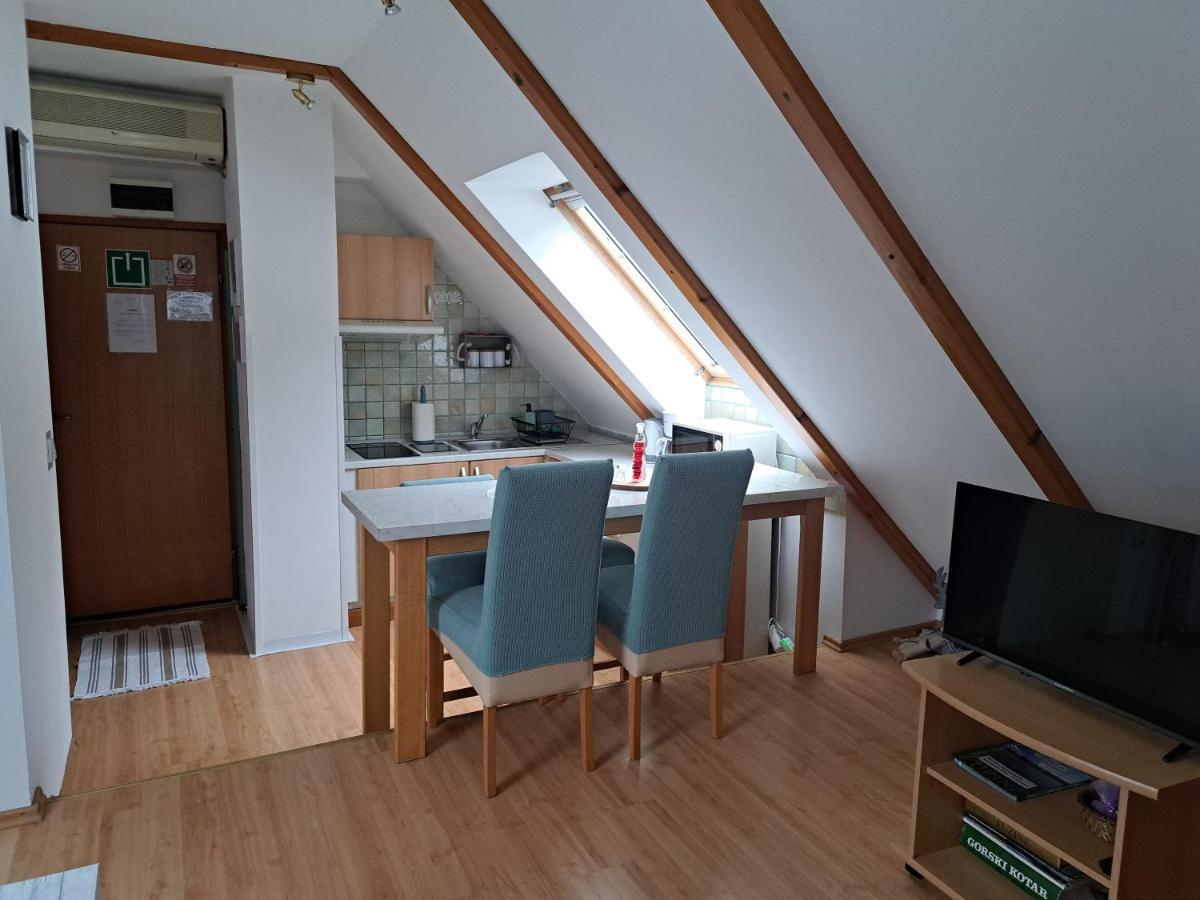 Apartment Erika Fužine エクステリア 写真