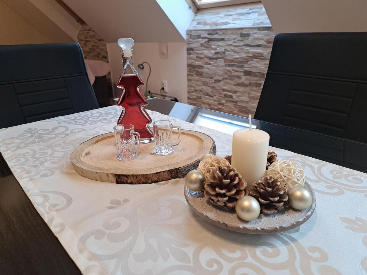 Apartment Erika Fužine エクステリア 写真
