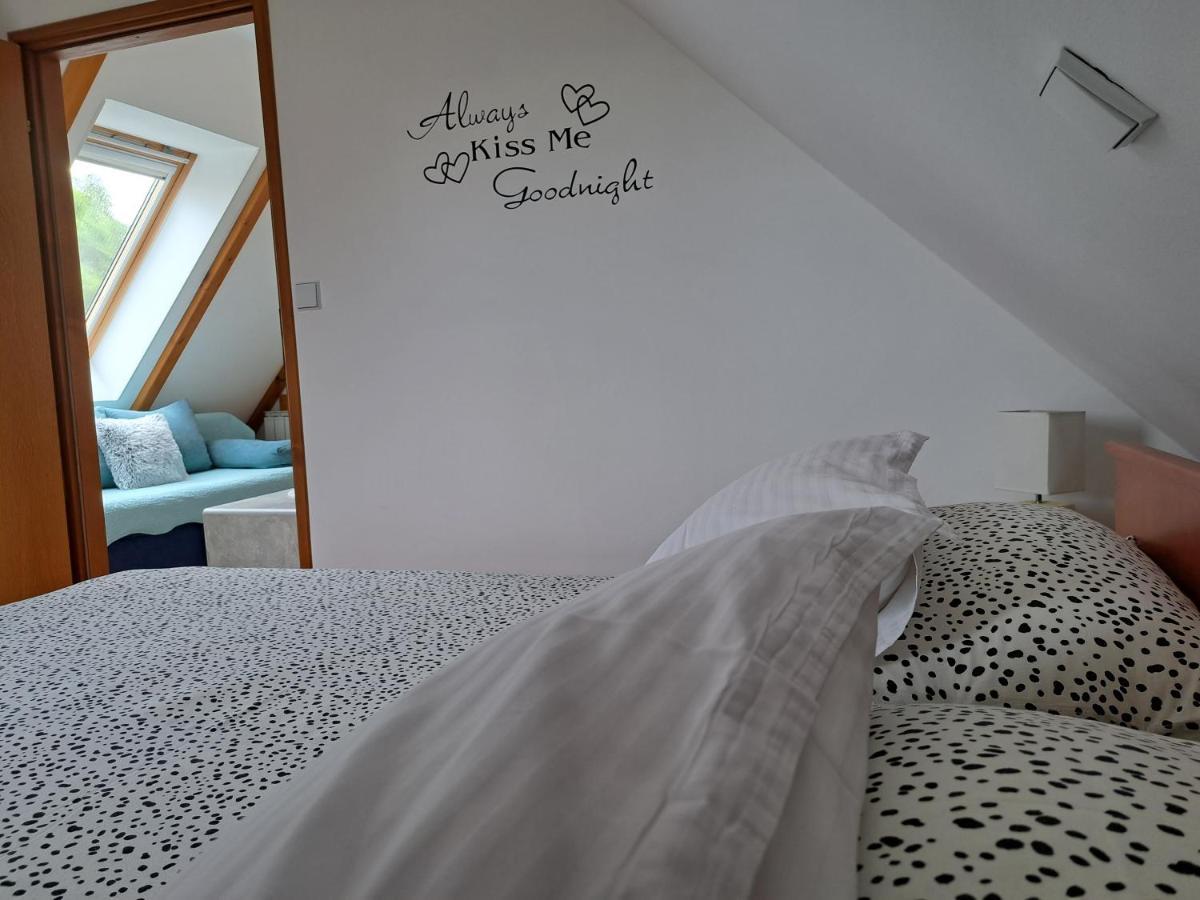 Apartment Erika Fužine エクステリア 写真