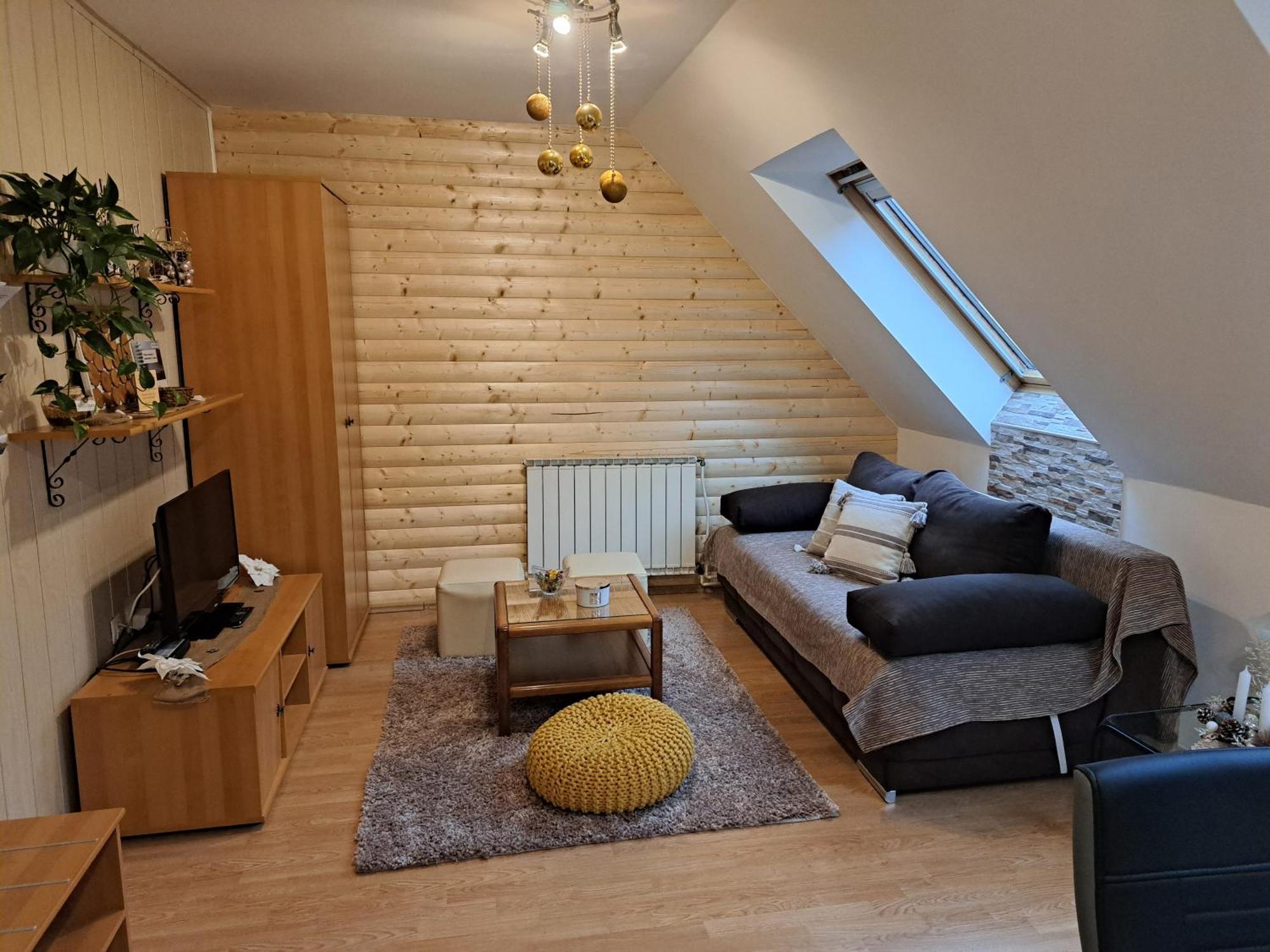 Apartment Erika Fužine エクステリア 写真