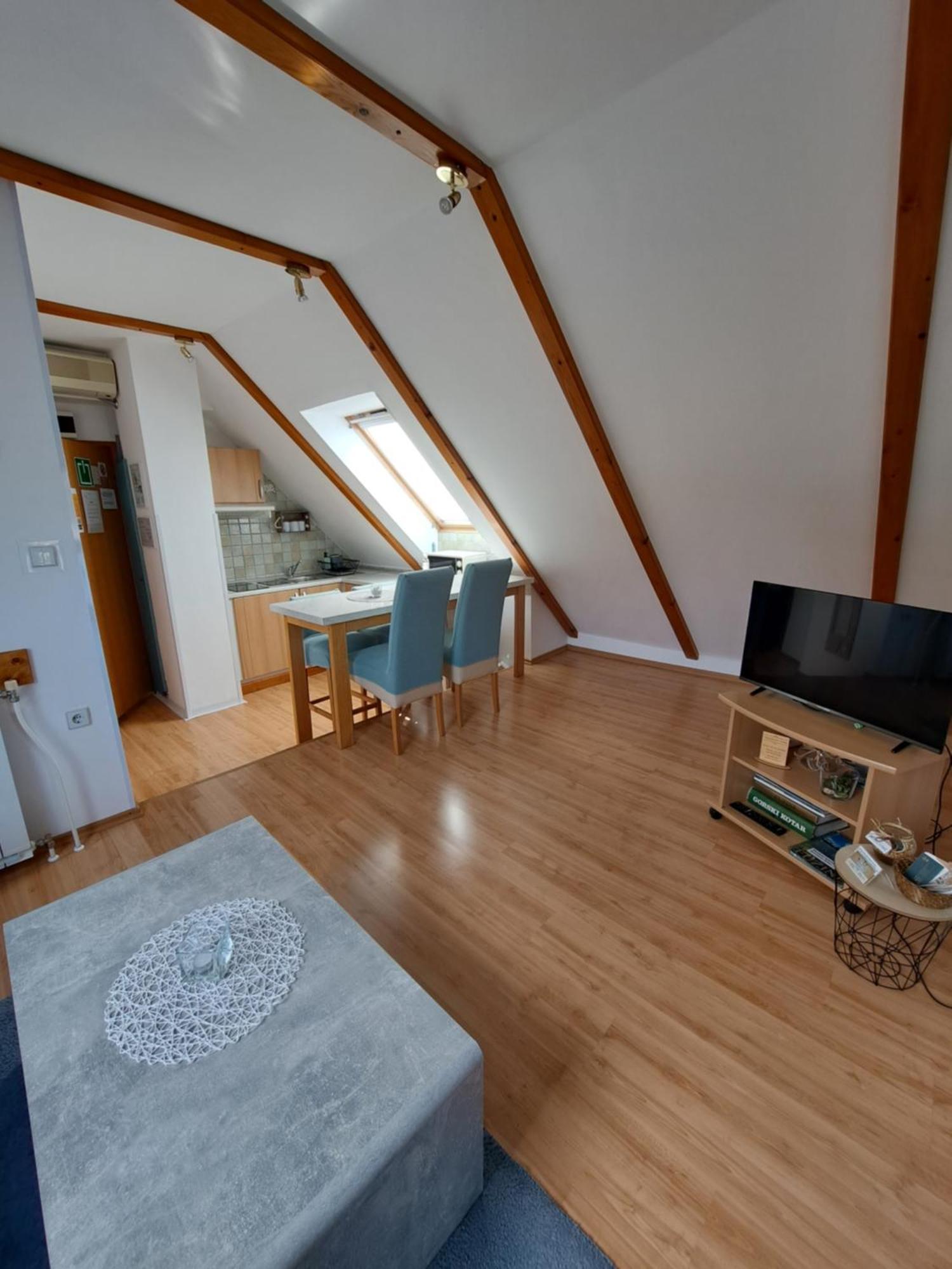 Apartment Erika Fužine エクステリア 写真