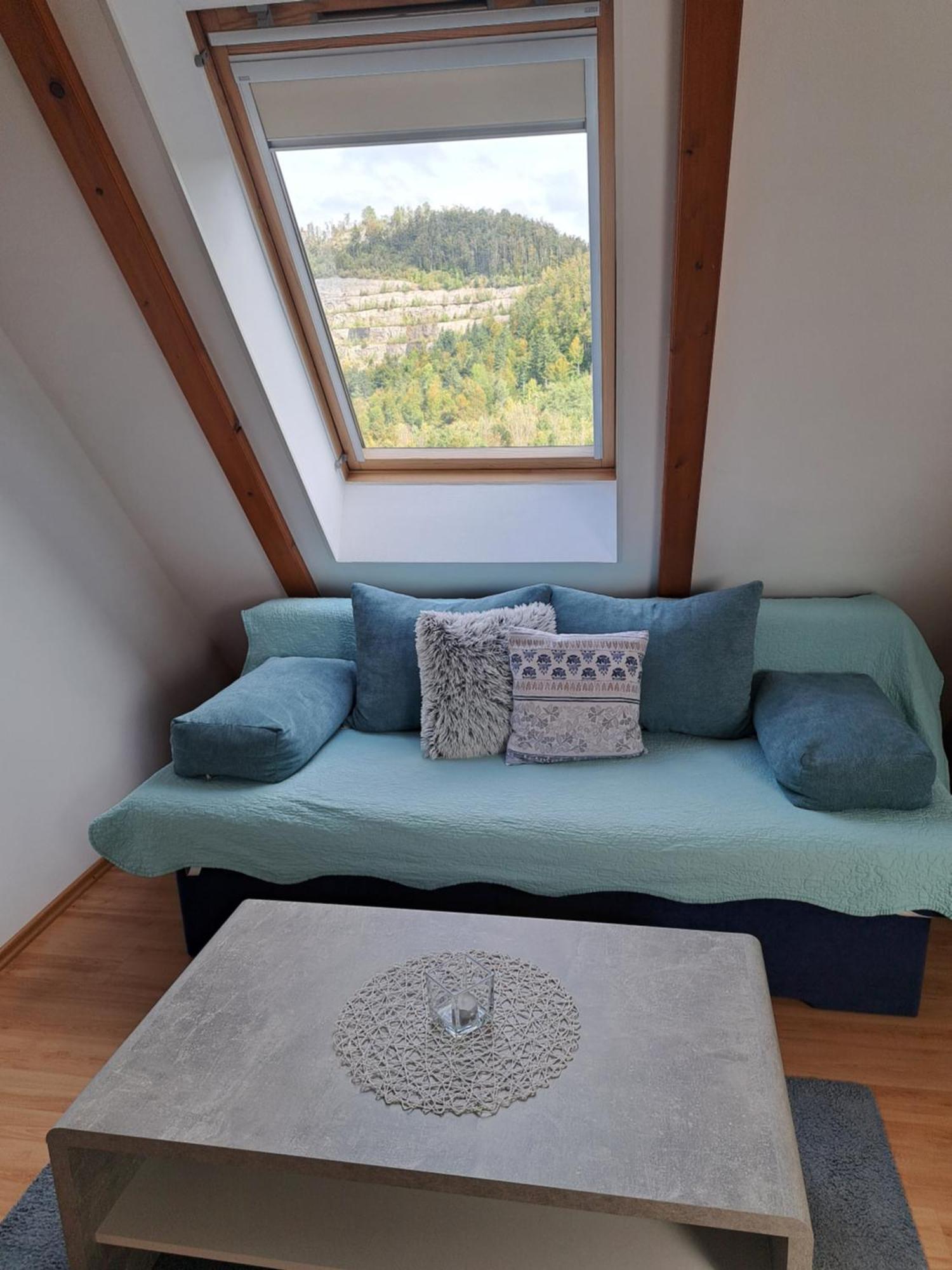 Apartment Erika Fužine エクステリア 写真