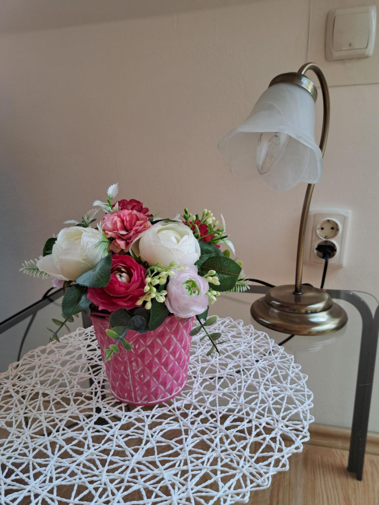 Apartment Erika Fužine エクステリア 写真
