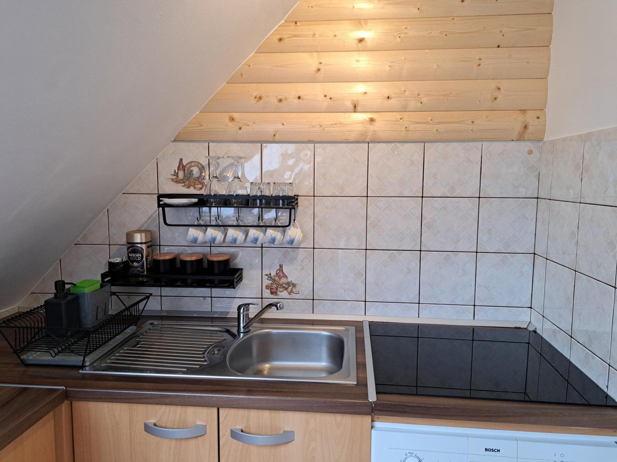 Apartment Erika Fužine エクステリア 写真